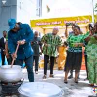 Hon. Dafeamekpor, The Utility Player